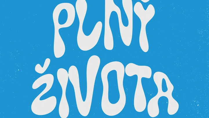 Mládežnícka konferencia